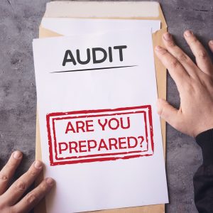 Audit techniques